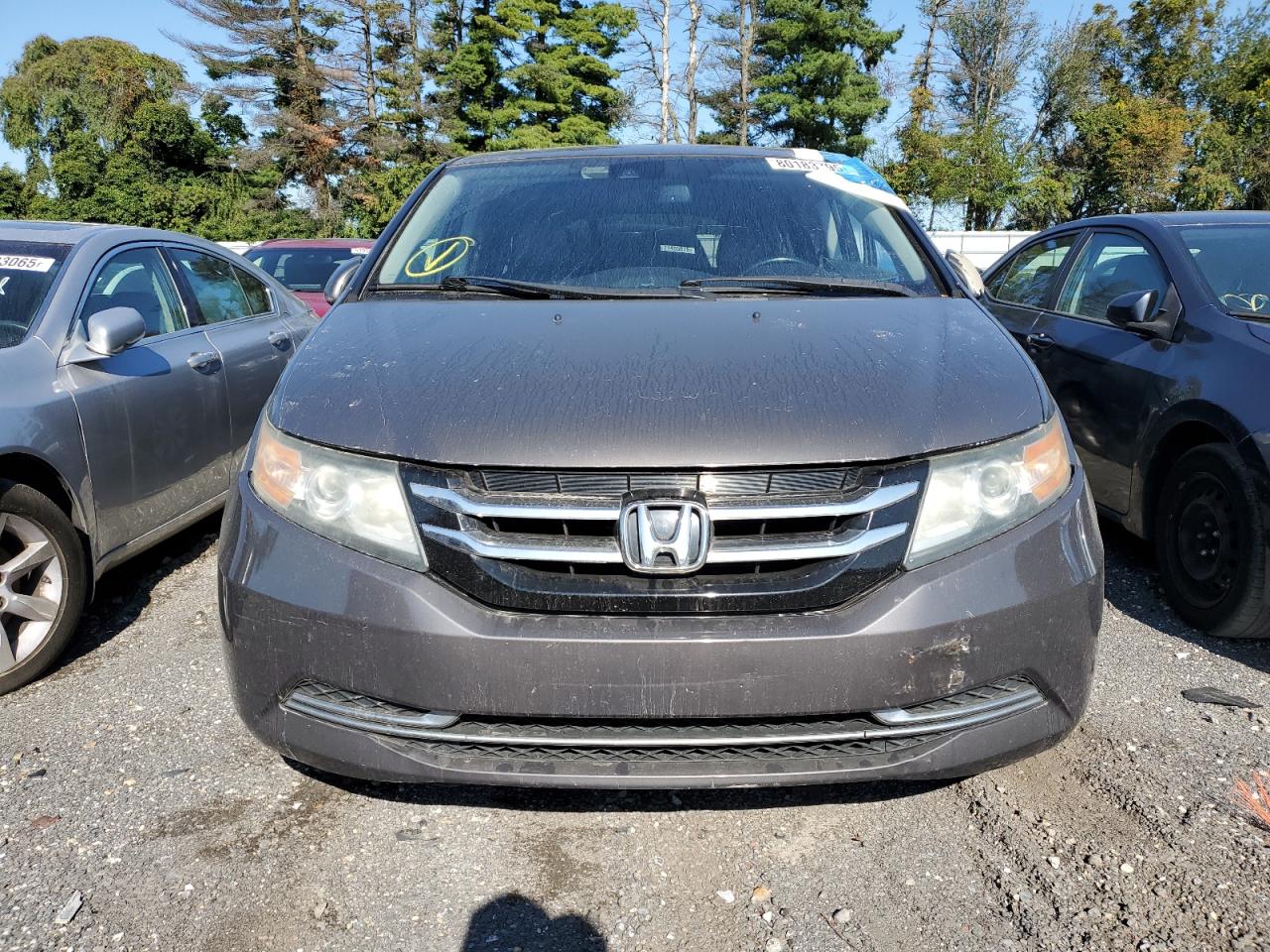 Lot #3298088126 2014 HONDA ODYSSEY EX