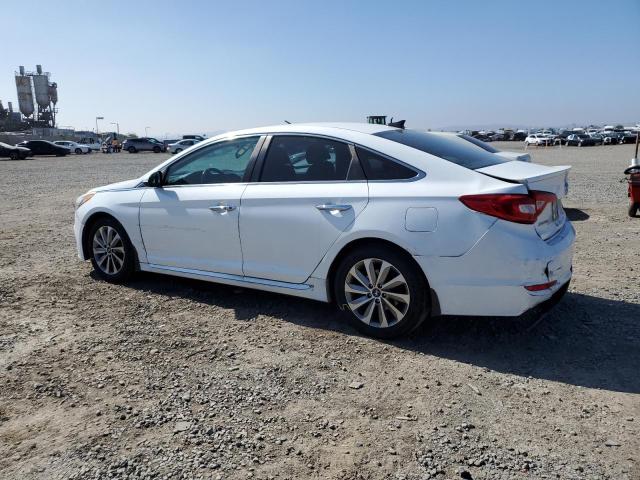 2016 HYUNDAI SONATA SPO 5NPE34AF2GH266429
