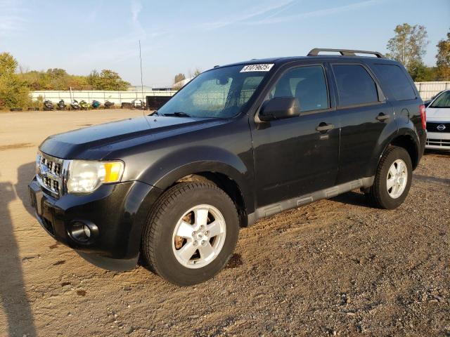 Global Auto Auctions: 2011 FORD ESCAPE XLT