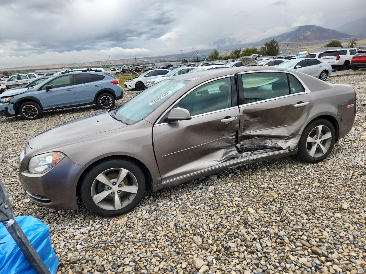 CHEVROLET MALIBU 1LT