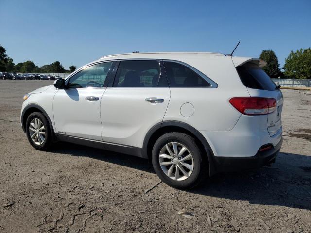 2017 KIA SORENTO 5XYPGDA58HG239880