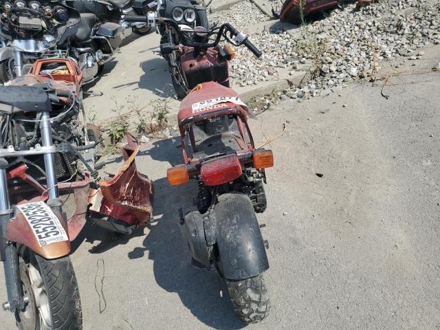2013 HONDA NPS50 JH2AF581XDK103912