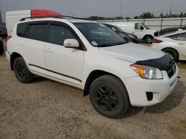 2011 TOYOTA RAV4 - 2T3BF4DV3BW142295