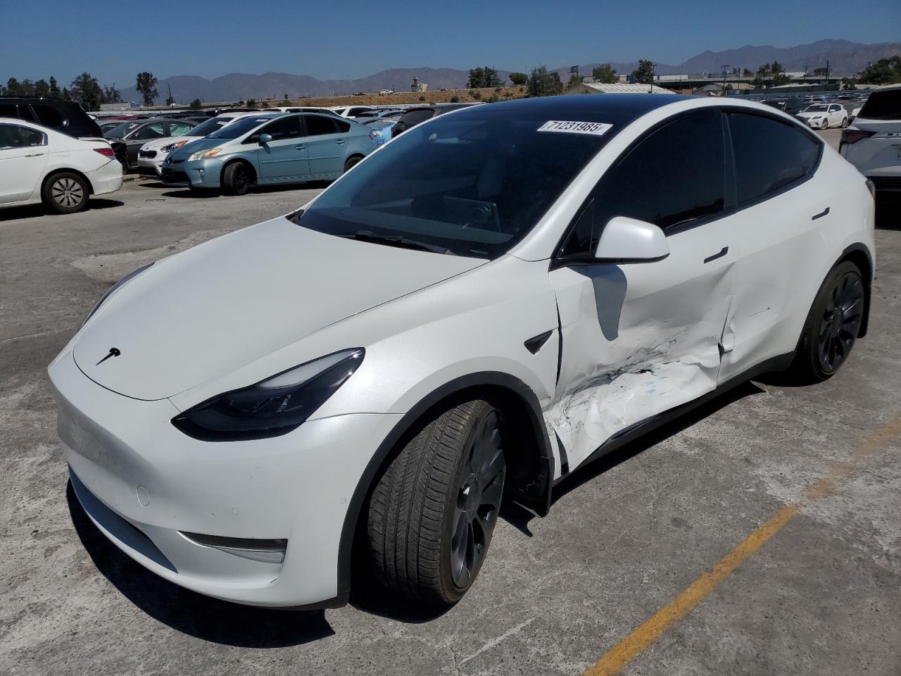 TESLA MODEL Y