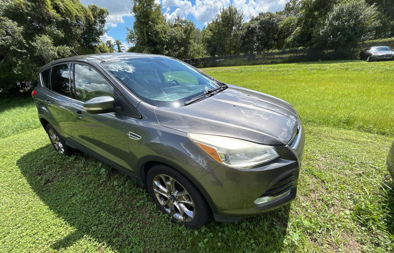 FORD ESCAPE SEL