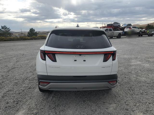 2025 HYUNDAI TUCSON LIM #3264766503