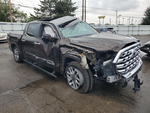 2025 TOYOTA TUNDRA CRE 5TFMC5DB4SX094119