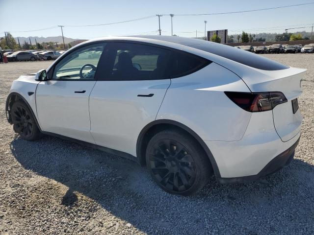2023 TESLA MODEL Y - 7SAYGDEE0PA110021