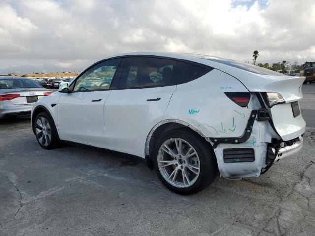 2021 TESLA MODEL Y 5YJYGDEEXMF161036