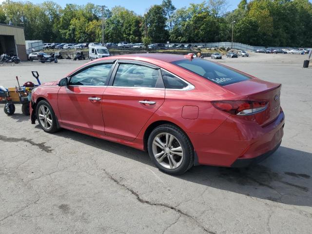2019 HYUNDAI SONATA LIM 5NPE34AF5KH813010