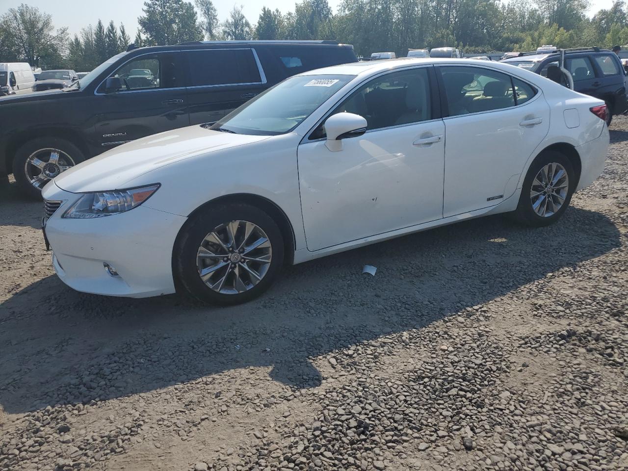 LEXUS ES 300H