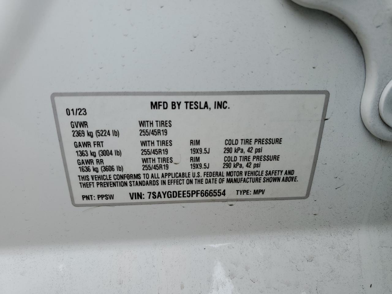 TESLA MODEL Y