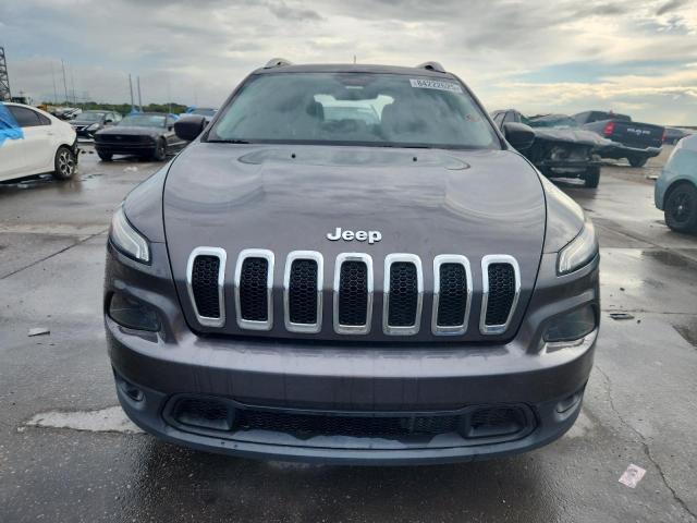 2018 JEEP CHEROKEE L 1C4PJLLB6JD590824