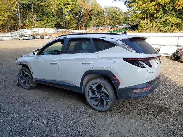 2023 HYUNDAI TUCSON SEL - 5NMJFCAE7PH263899