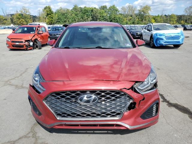 2019 HYUNDAI SONATA LIM 5NPE34AF5KH813010