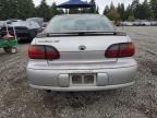 Lot #3316081246 2002 CHEVROLET MALIBU LS