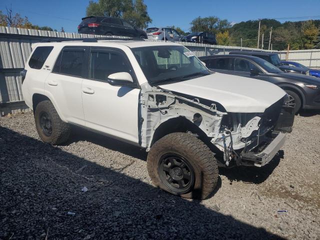 2024 TOYOTA 4RUNNER SR5/SR5 PREMIUM JTENU5JR5R6247993