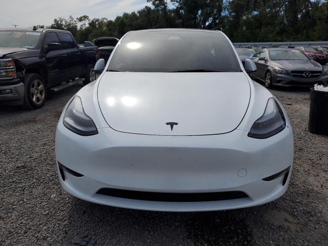 2024 TESLA MODEL Y 7SAYGDED8RA334860