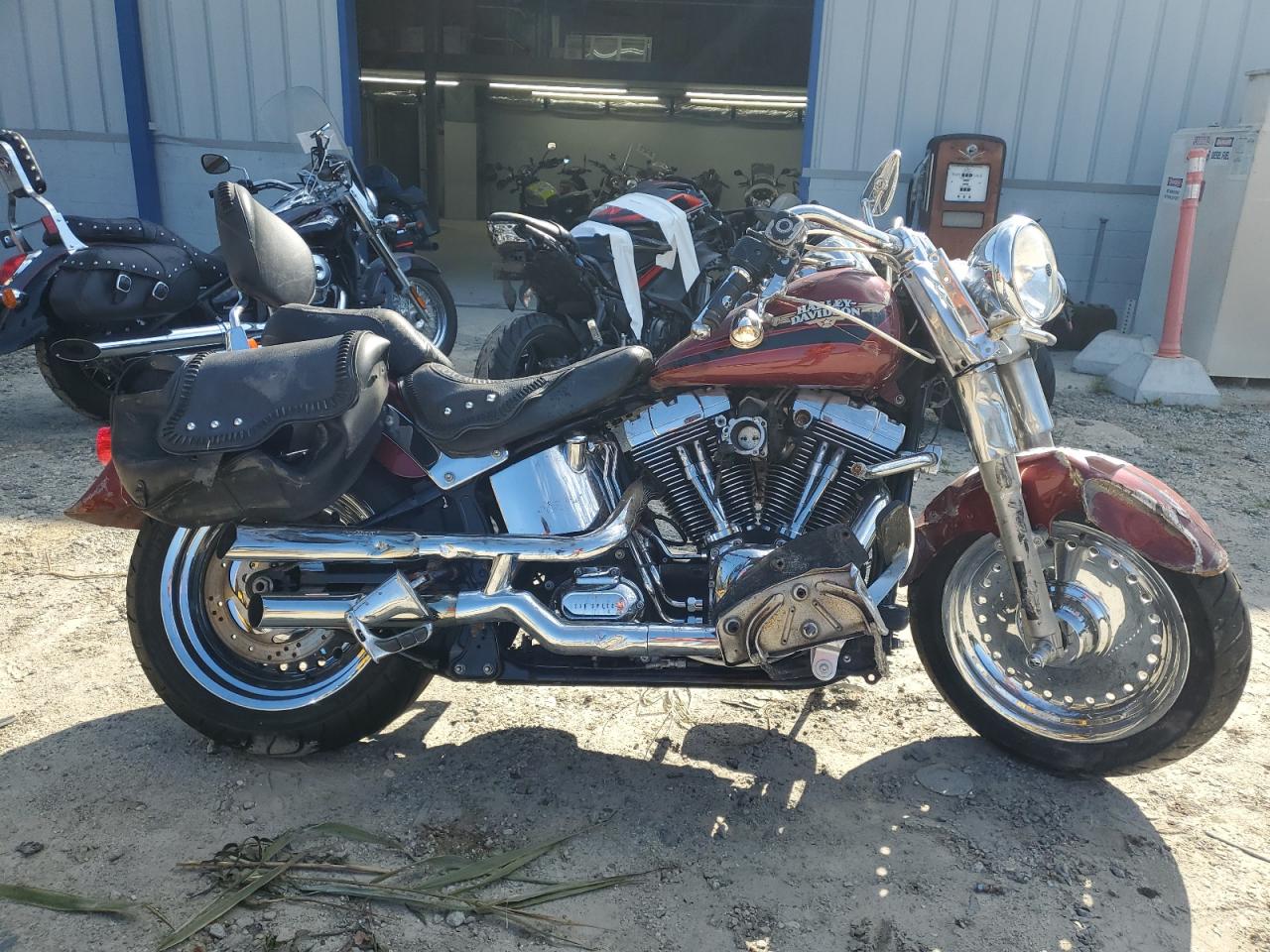 Lot #3315983131 2009 HARLEY-DAVIDSON FLSTF