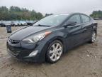 Lot #3315565771 2013 HYUNDAI ELANTRA GL