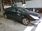 Lot #3312479621 2013 HYUNDAI SONATA GLS