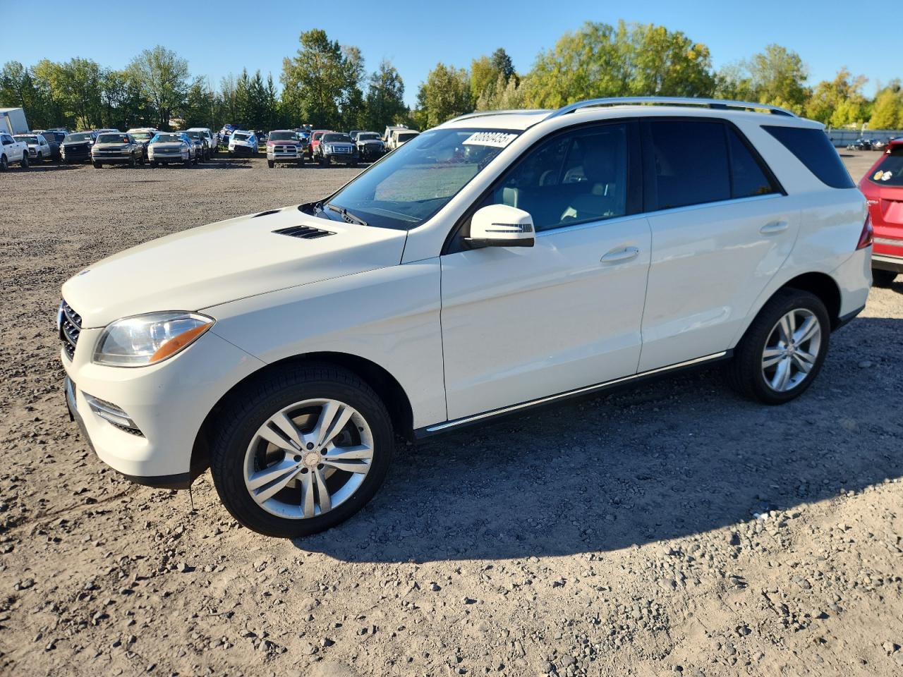 MERCEDES-BENZ M-CLASS 350