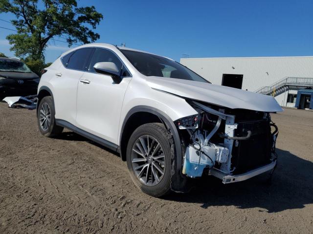 2023 LEXUS NX 350H 2T2AKCEZXPC014216