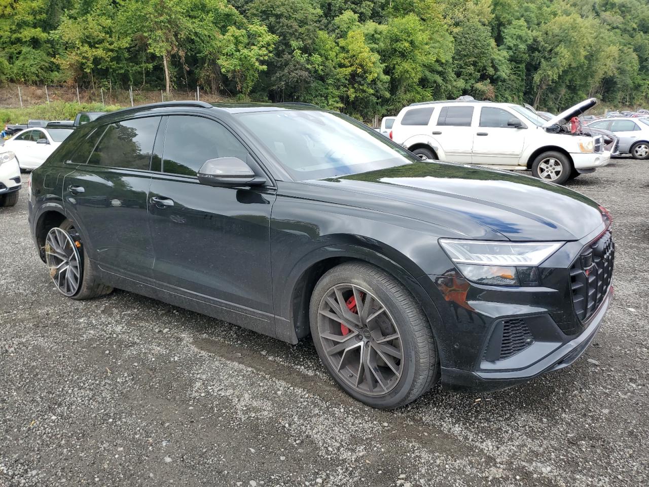 AUDI SQ8 PREMIUM PLUS