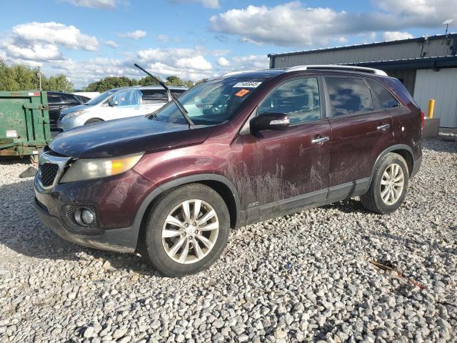 Global Auto Auctions: 2011 KIA SORENTO BA