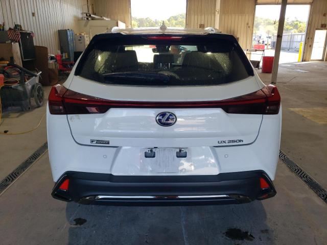 2021 LEXUS UX 250H JTHR9JBHXM2046000