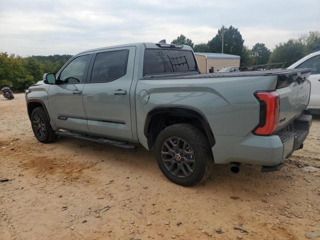 2024 TOYOTA TUNDRA CREWMAX PLATINUM 5TFNA5DB8RX189920