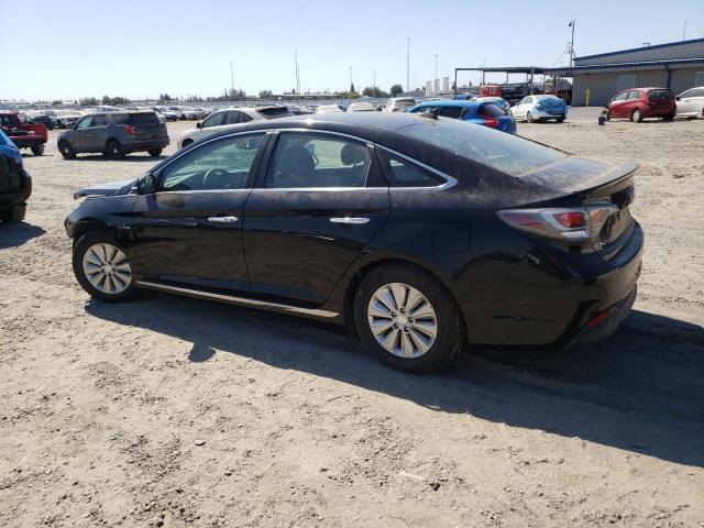 HYUNDAI SONATA HYB 2016 black sedan 4d hybrid engine KMHE24L11GA025968 photo #3