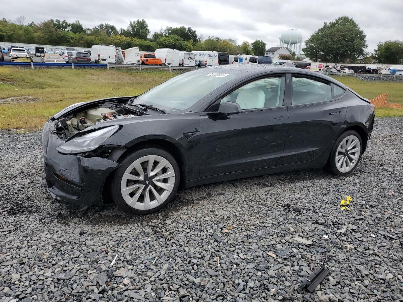 Lot #3297104498 2023 TESLA MODEL 3