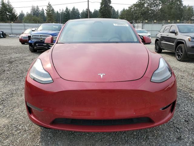 2021 TESLA MODEL Y 5YJYGDEF3MF215933