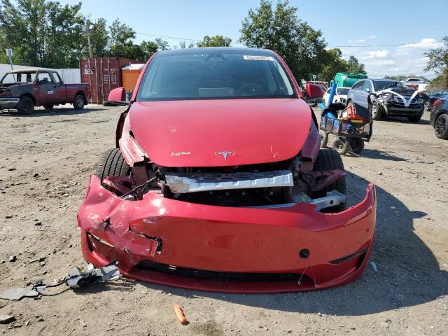 2023 TESLA MODEL Y 7SAYGDEE7PF829253