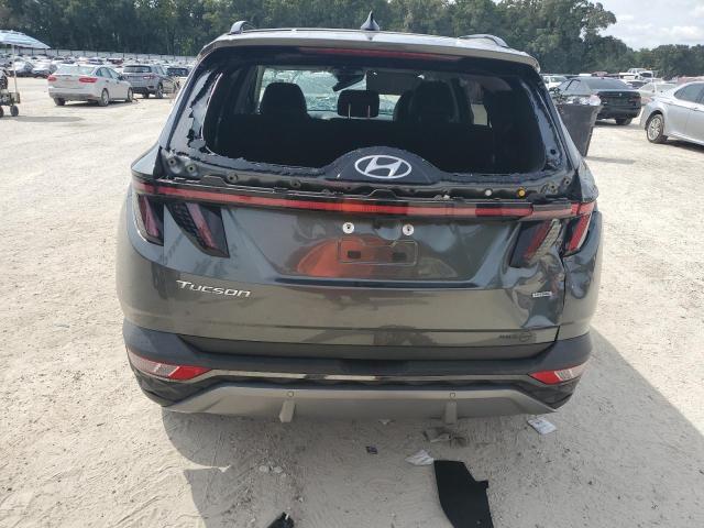 2023 HYUNDAI TUCSON LIM 5NMJECAEXPH162858