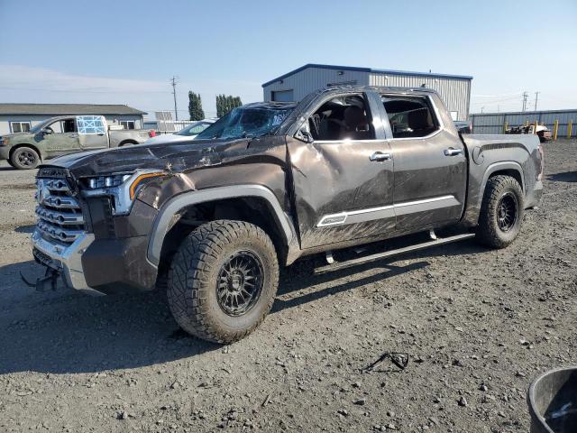 2023 TOYOTA TUNDRA CREWMAX PLATINUM 5TFMA5DB7PX096413