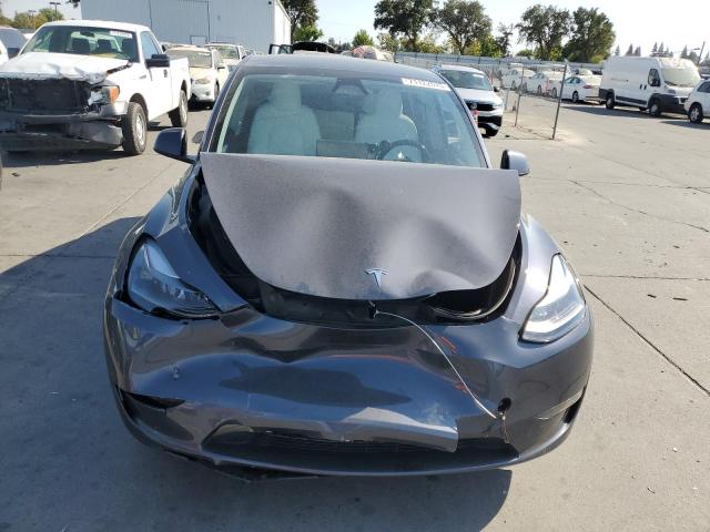 2023 TESLA MODEL Y 7SAYGDEE7PF948274