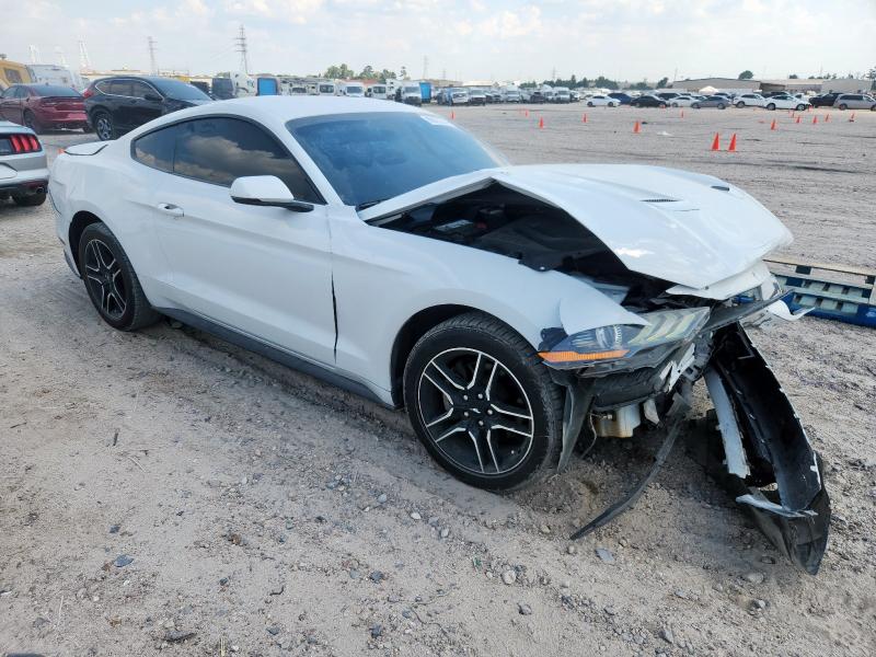 2019 FORD MUSTANG - 1FA6P8TH3K5186425