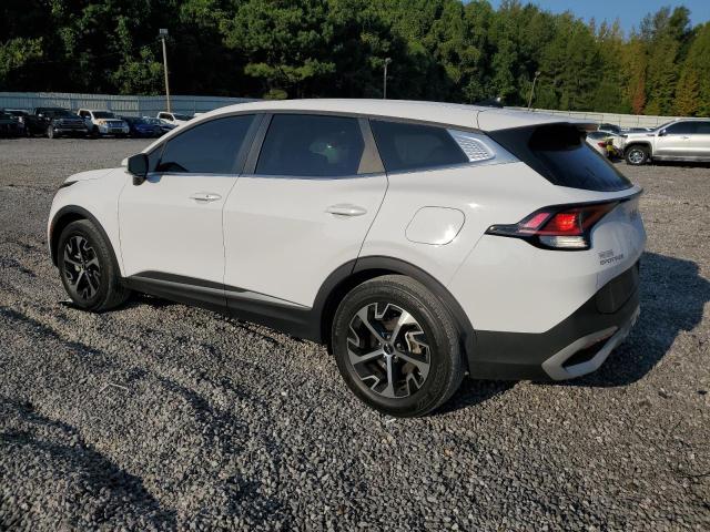 2024 KIA SPORTAGE EX 5XYK33DF9RG165424