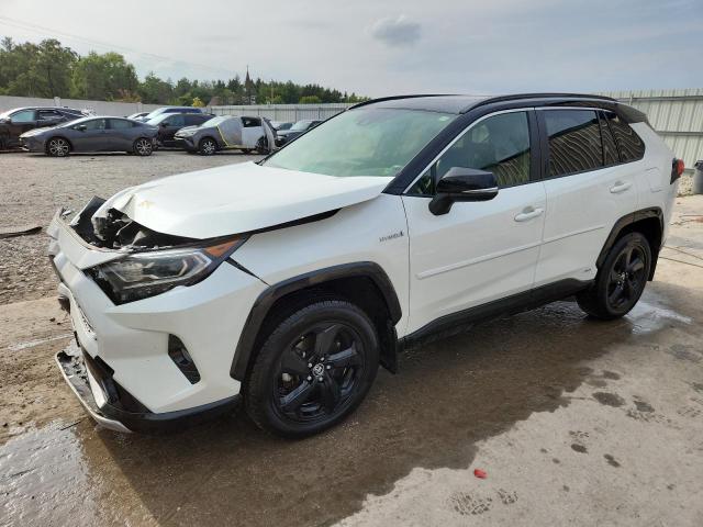 2019 TOYOTA RAV4 XSE - JTMEWRFV4KD504817