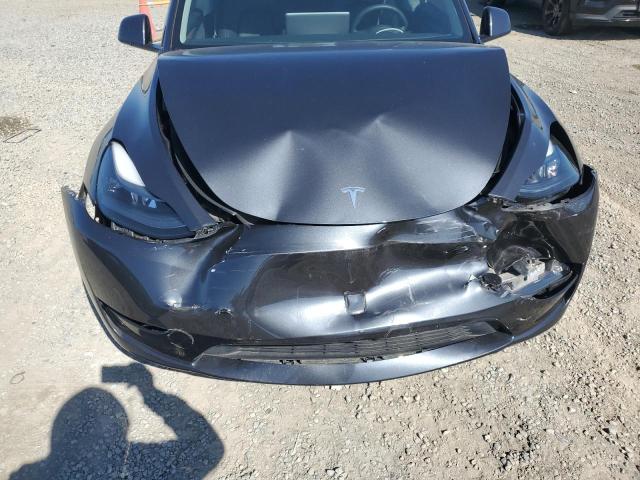 2024 TESLA MODEL Y 7SAYGAEE8RF033273