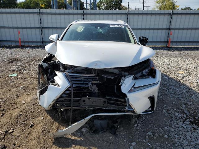 2020 LEXUS NX 300 JTJDARDZ4L2235650