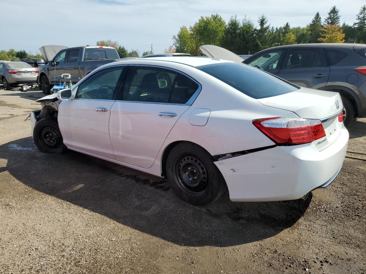 HONDA ACCORD EXL