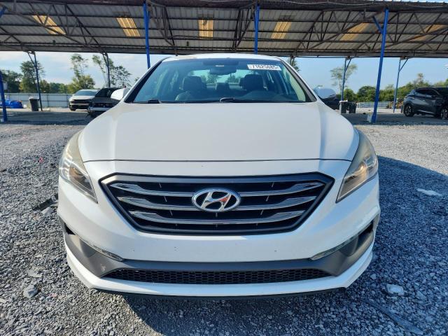 2015 HYUNDAI SONATA SPO - 5NPE34AF6FH239040
