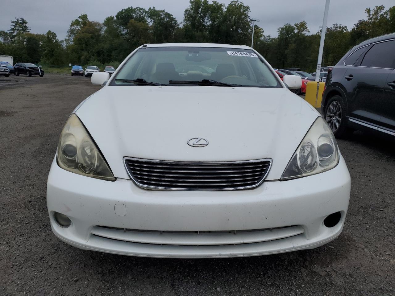 Lot #3246882504 2006 LEXUS ES 330