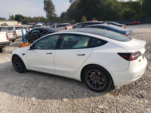 2021 TESLA MODEL 3 5YJ3E1EA2MF084707