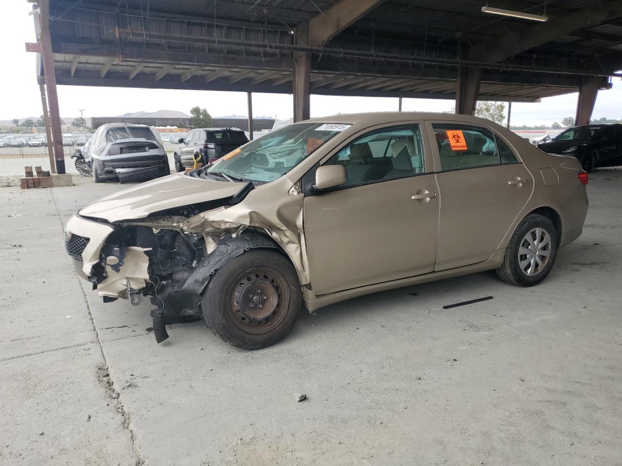 TOYOTA COROLLA BASE