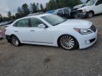 Lot #3292520698 2016 HYUNDAI EQUUS SIGNATURE
