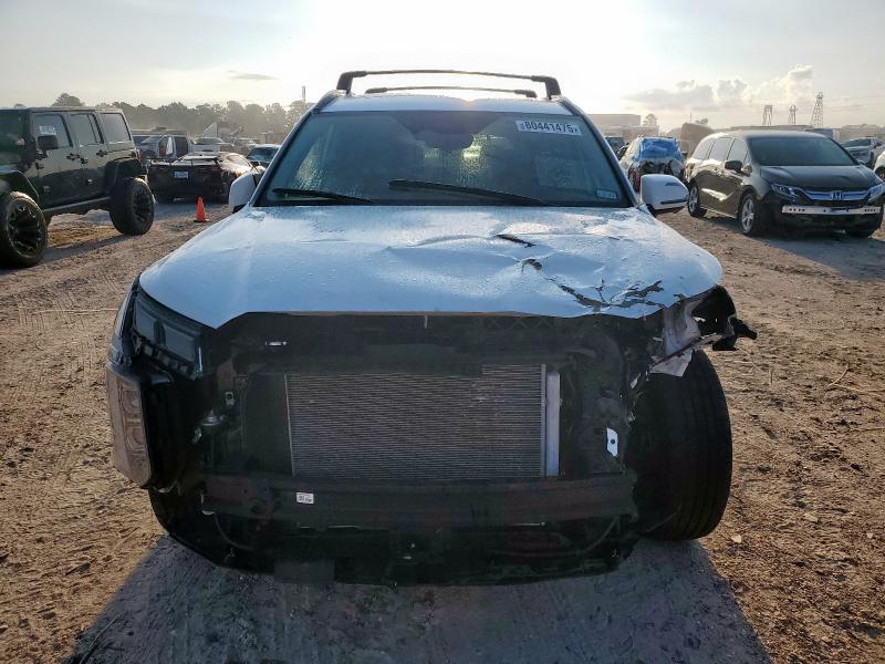 2025 HYUNDAI PALISADE X KM8R34GE5SU901847